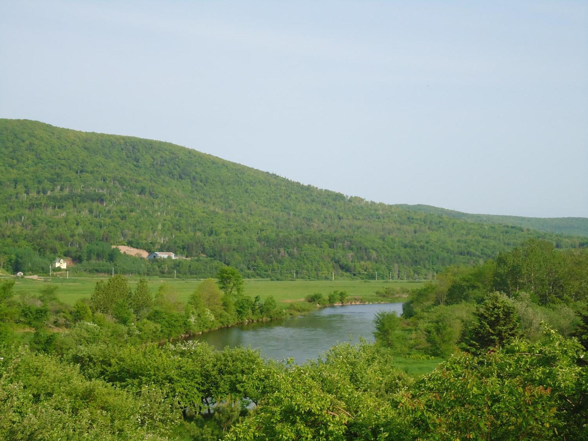 Cajun Cedar Log Cottages Margaree Forks Bagian luar foto