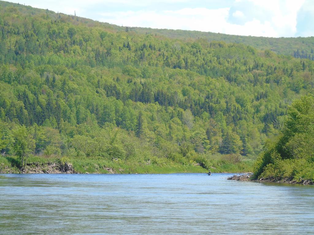 Cajun Cedar Log Cottages Margaree Forks Bagian luar foto