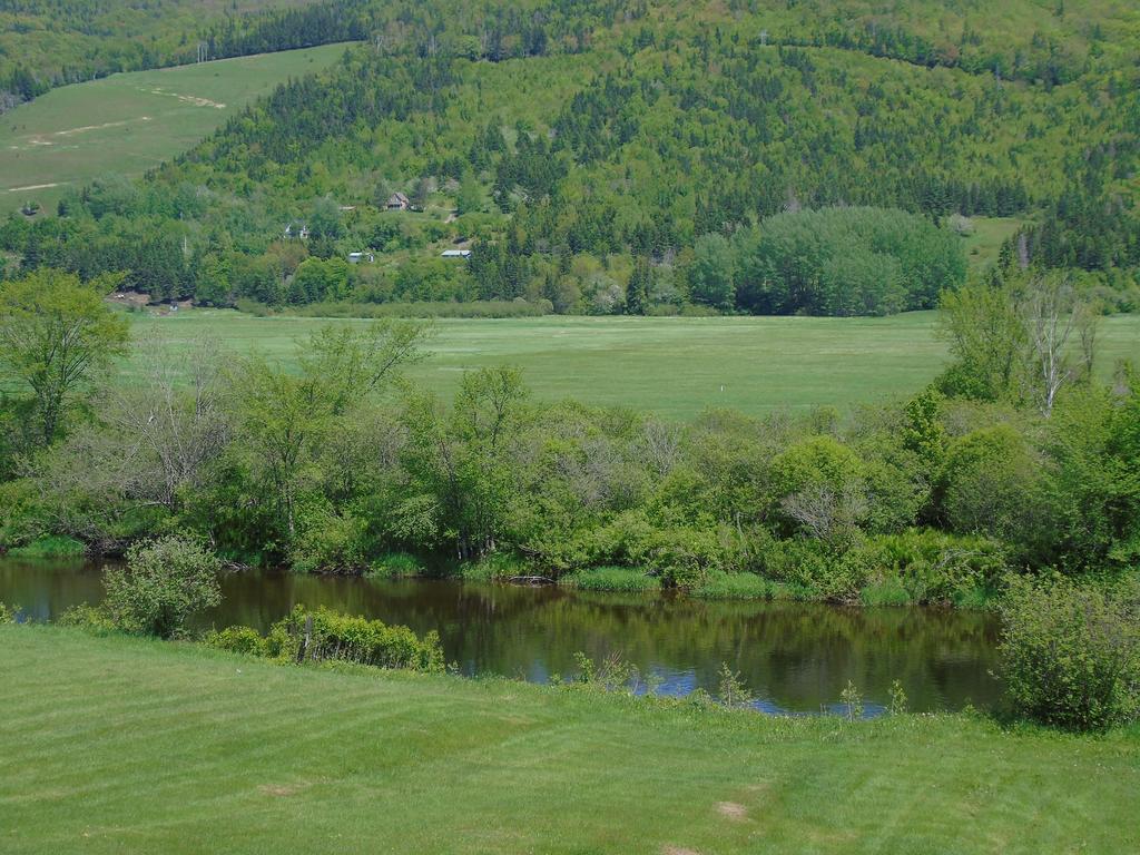 Cajun Cedar Log Cottages Margaree Forks Bagian luar foto