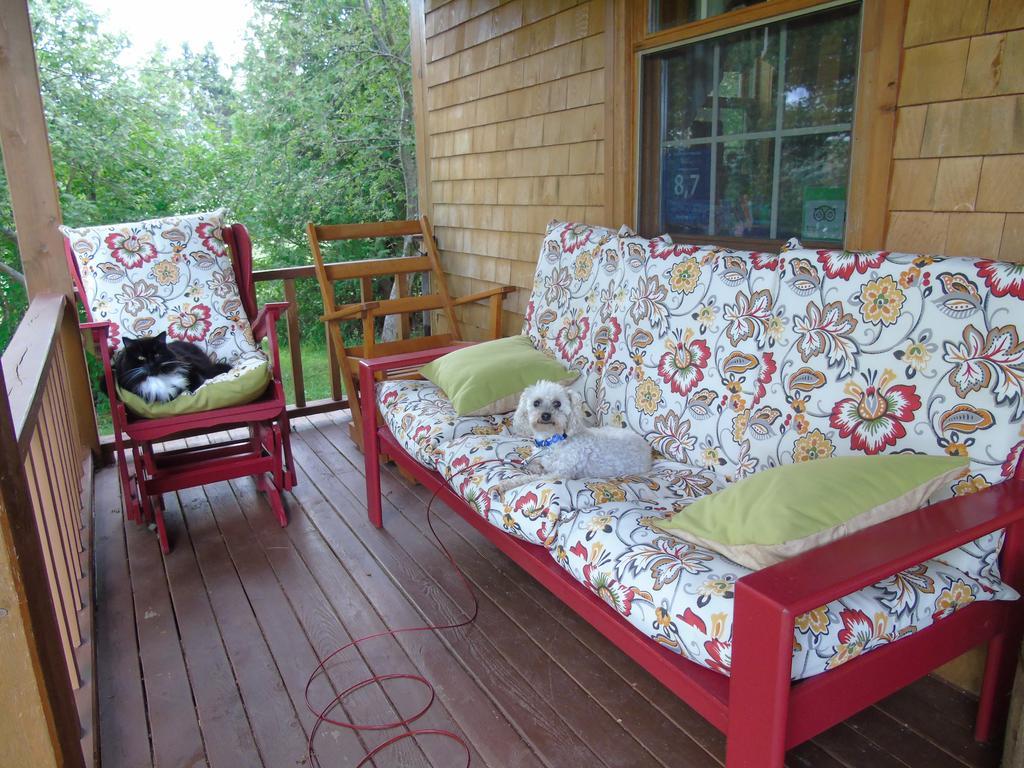 Cajun Cedar Log Cottages Margaree Forks Bagian luar foto