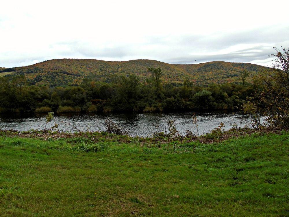 Cajun Cedar Log Cottages Margaree Forks Bagian luar foto