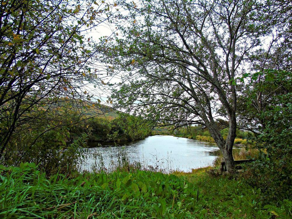 Cajun Cedar Log Cottages Margaree Forks Bagian luar foto