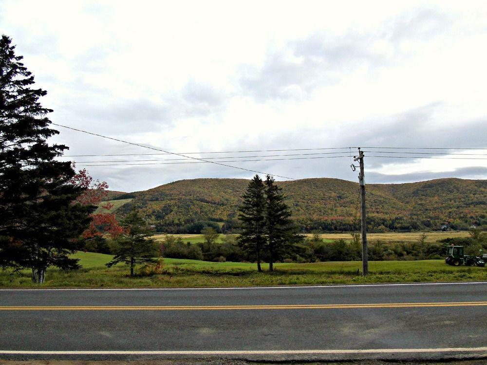 Cajun Cedar Log Cottages Margaree Forks Bagian luar foto
