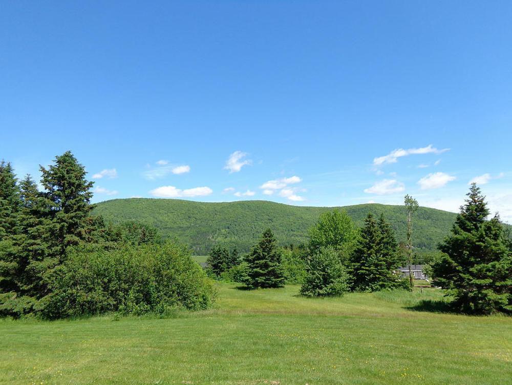 Cajun Cedar Log Cottages Margaree Forks Bagian luar foto