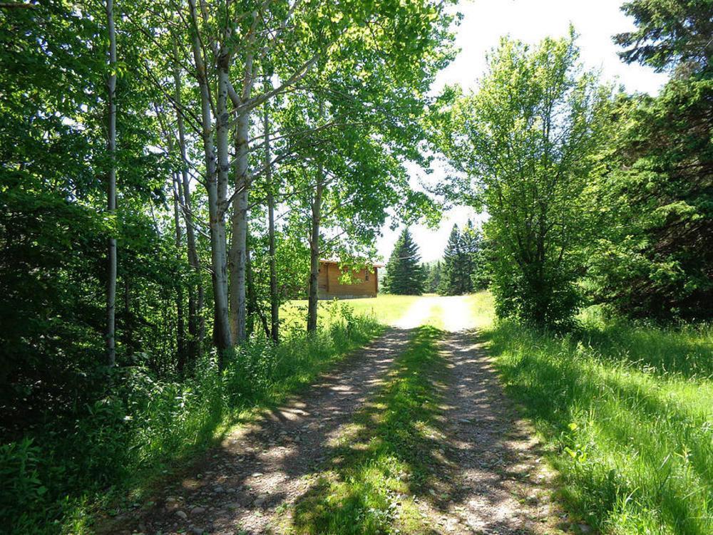 Cajun Cedar Log Cottages Margaree Forks Bagian luar foto