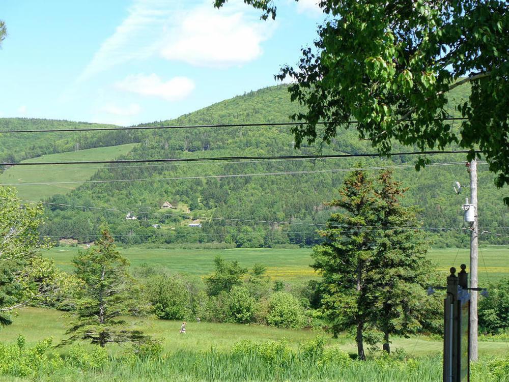 Cajun Cedar Log Cottages Margaree Forks Bagian luar foto