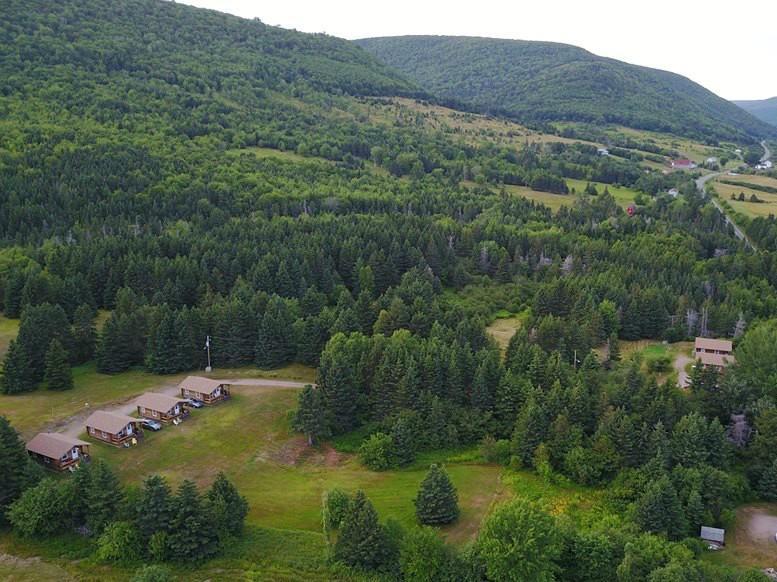 Cajun Cedar Log Cottages Margaree Forks Bagian luar foto