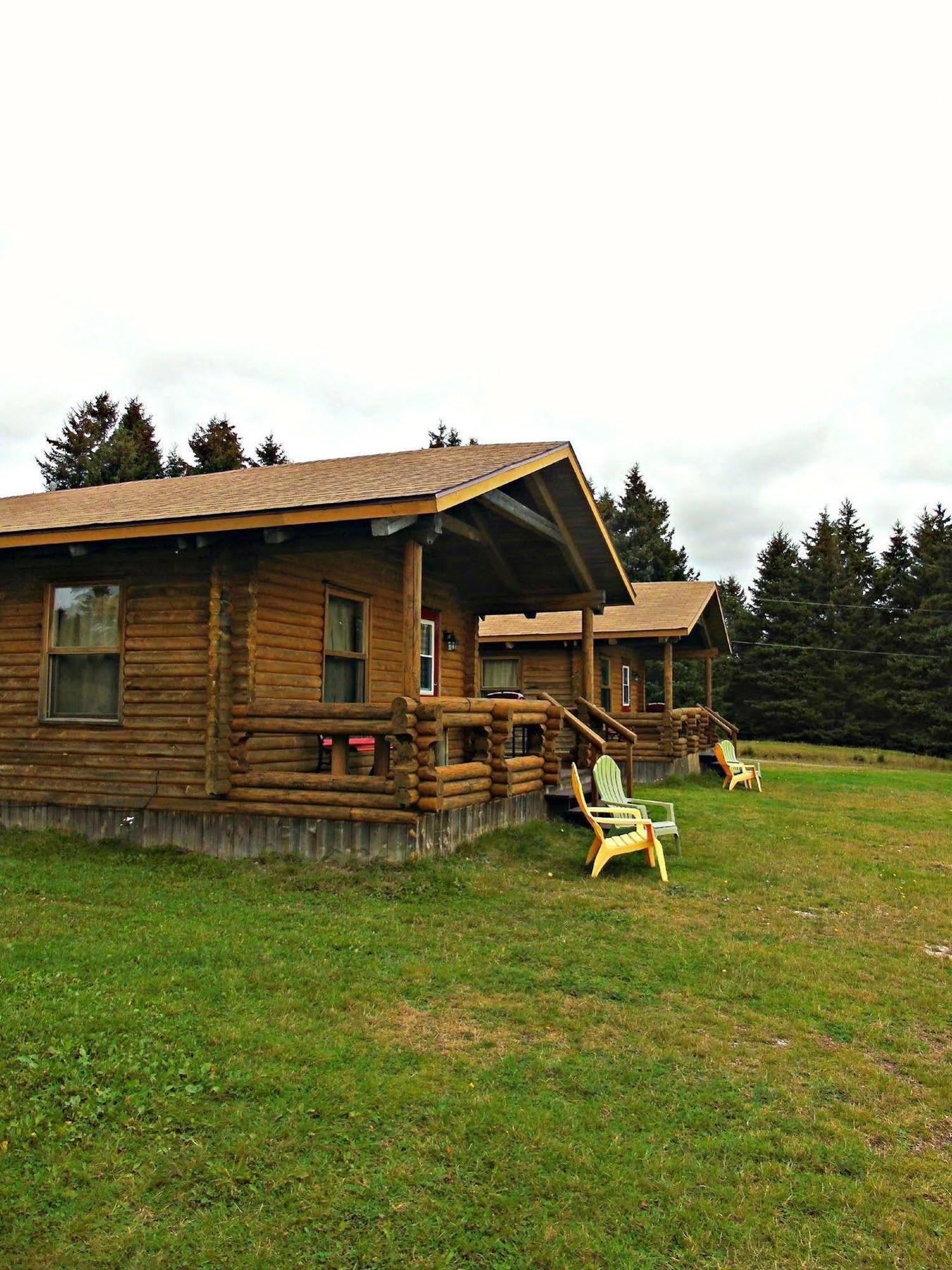 Cajun Cedar Log Cottages Margaree Forks Bagian luar foto