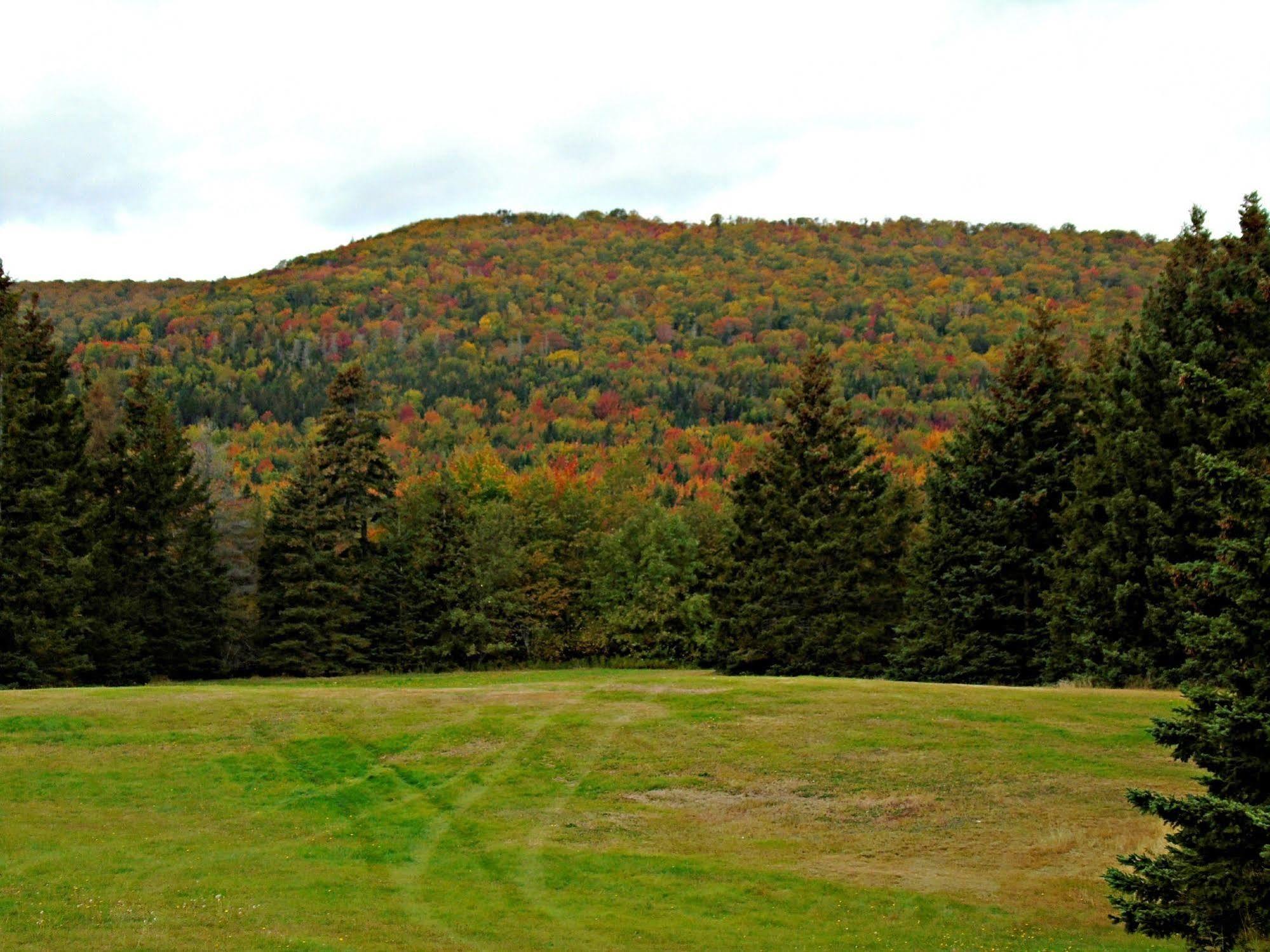 Cajun Cedar Log Cottages Margaree Forks Bagian luar foto