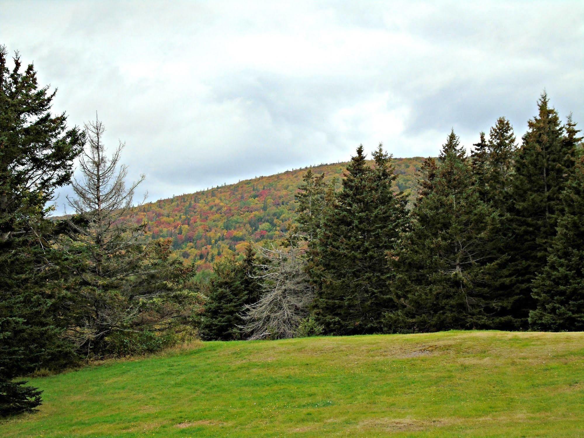 Cajun Cedar Log Cottages Margaree Forks Bagian luar foto